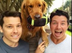 論演技，你恐怕比不上一只狗。。。