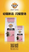 奧丁精品幼貓糧閃耀登場(chǎng)！！！