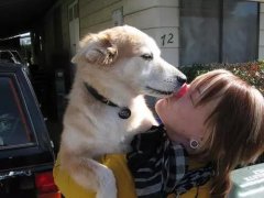 狗狗喜歡舔你，原來(lái)是想告訴你這些！